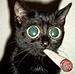pueng's Avatar