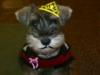 nampont's Avatar