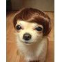 chic.mandy's Avatar