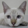ninagirl's Avatar