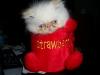 40degree's Avatar
