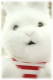kiddybaby's Avatar