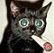 pueng's Avatar