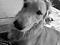 Look-Bas's Avatar