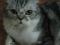 nanna's Avatar