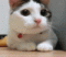 kizt's Avatar
