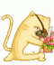 nokka's Avatar